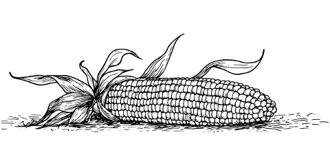 corn-flask-cereal-a-vegetable-10028204