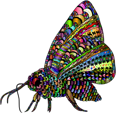 moth-insect-animal-decorative-8261338