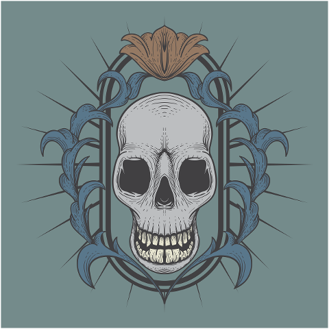 skull-skeleton-head-bones-rose-6067163