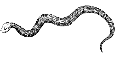 snake-animal-reptile-line-art-7378328