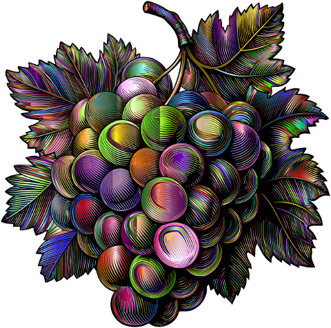 grapes-fruit-plant-food-nature-9556854
