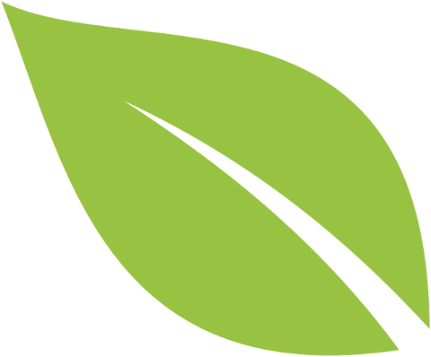 green-leaf-plant-nature-spring-9850196