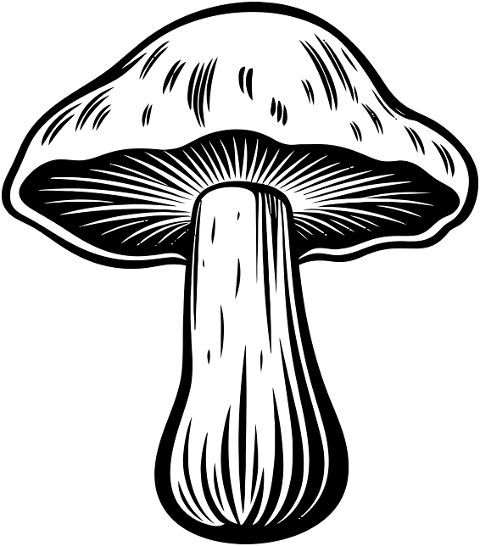 plant-dxf-plant-vector-dxf-file-8981862