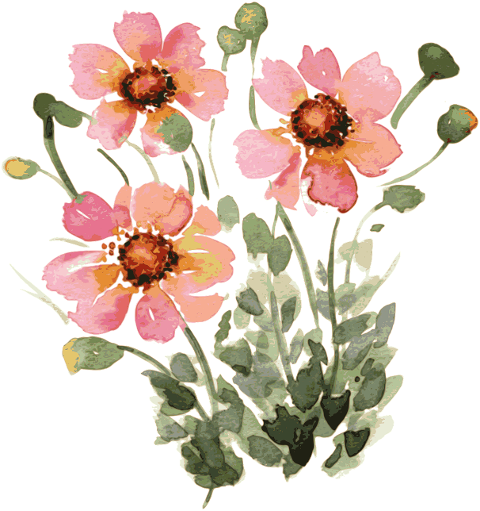 wild-flowers-watercolor-decorative-6824368