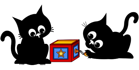 cat-kitten-black-cat-feline-cute-8866218