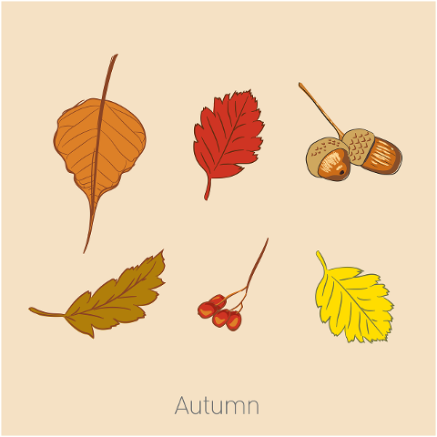 autumn-season-leaves-nature-plant-6663575