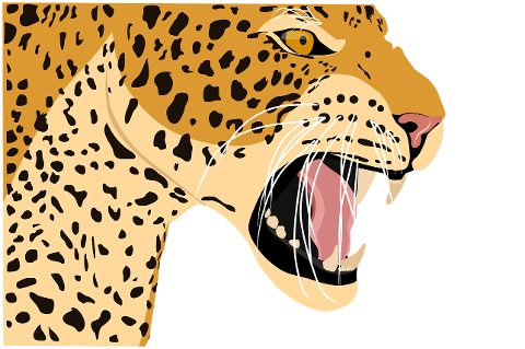 leopard-animal-tiger-africa-7371712