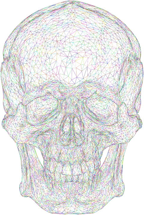 skull-head-low-poly-face-wireframe-7551976