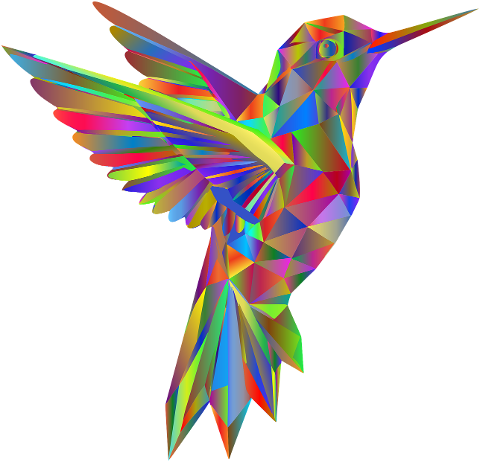 hummingbird-geometric-prismatic-8846945