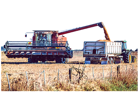 wheat-harvest-agriculture-farm-6147419