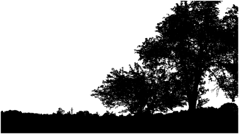 forest-trees-silhouette-branches-5135074