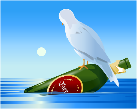 bottle-the-sea-seagull-castaway-5192874