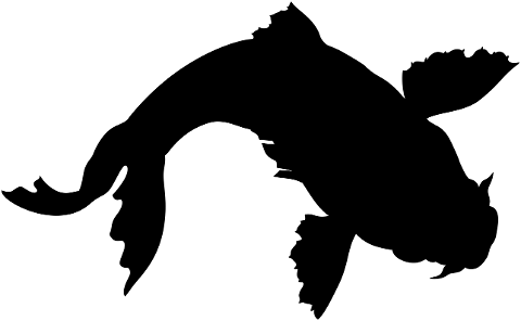 koi-fish-silhouette-animal-carp-7058838