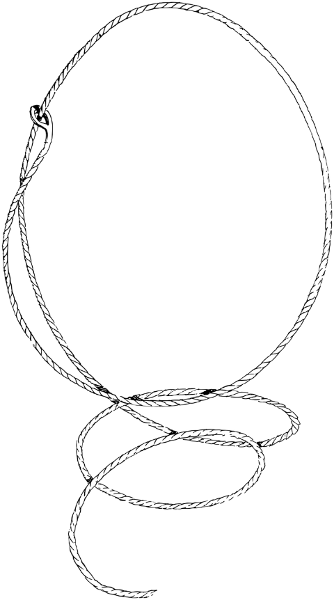 rope-lasso-frame-border-line-art-7393937
