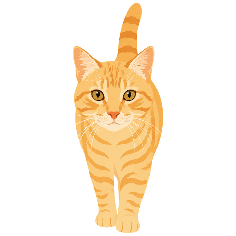 cat-orange-cat-tabby-kitten-pet-10354877
