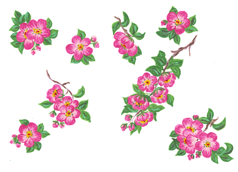 cherry-blossom-branch-cherry-spring-6873292