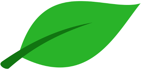 green-leaf-plant-nature-spring-9850191