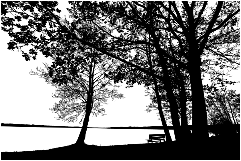 tree-landscape-silhouette-lake-4646372