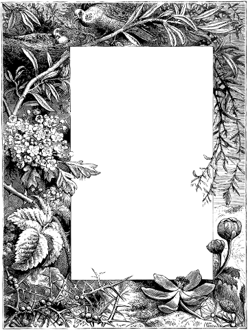 floral-frame-vintage-vegetation-4106637
