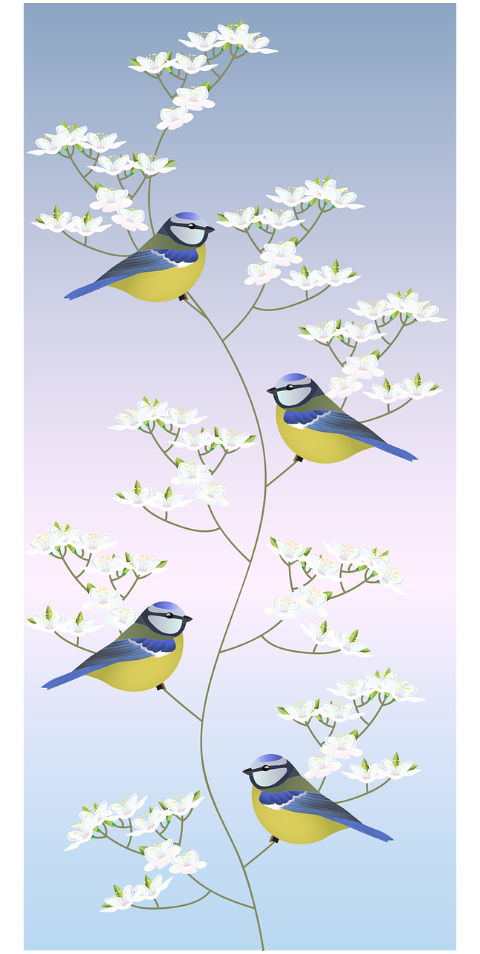 blue-tit-birds-apple-tree-6120481