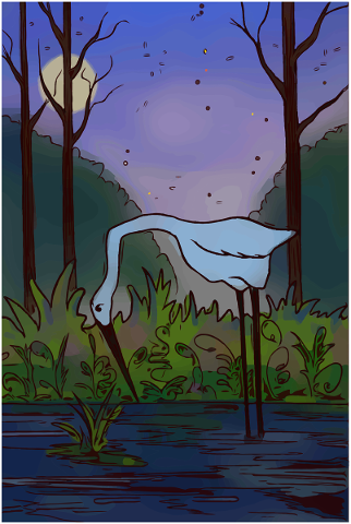 heron-bird-wild-nature-life-5201996