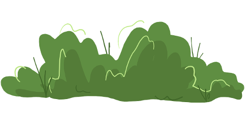 bush-green-plant-drawing-garden-9746654