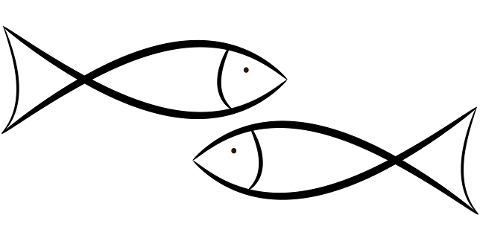 school-of-fish-fish-sketch-drawing-7286355