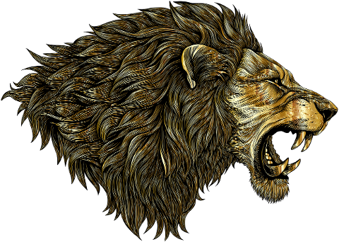 lion-animal-feline-big-cat-mammal-9514218