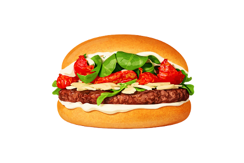 gourmet-burger-burger-illustration-10106069