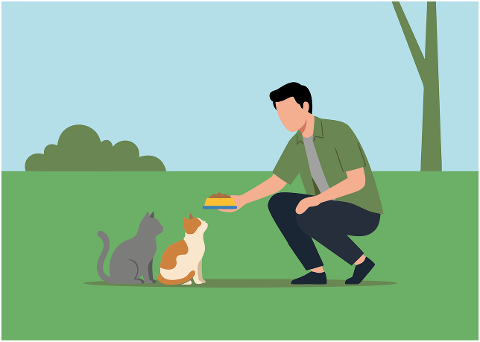 cat-feeding-man-care-pets-park-10300086