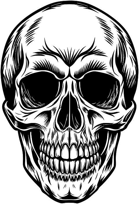 ai-generated-skull-skeleton-bones-8984197