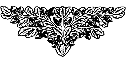 design-ornament-flourish-line-art-7673454