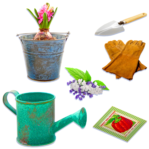 gardening-tools-watering-can-flower-6108949