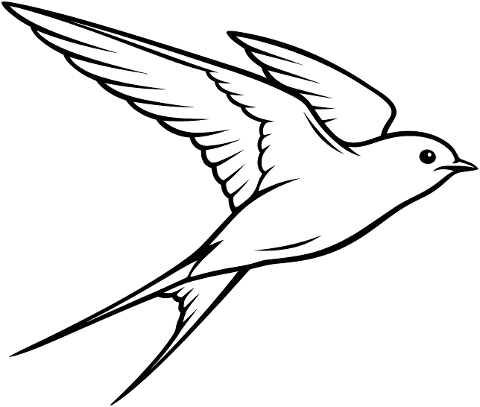 swallow-bird-flying-outline-animal-9910183