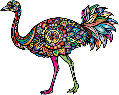 ostrich-bird-rainbow-animal-8846872