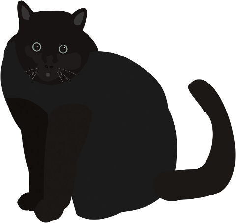 cat-black-cat-animal-fat-cat-7261006