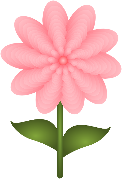 pink-flower-flower-spring-art-7373871