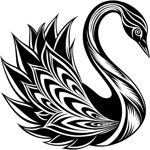 swan-bird-animal-ornithology-water-8799286