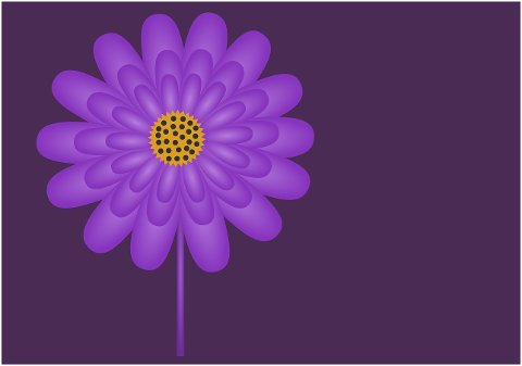 flower-purple-card-design-art-7190559
