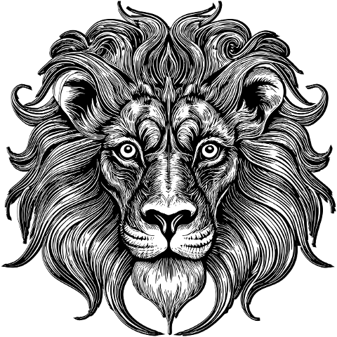 ai-generated-lion-line-art-animal-8907041