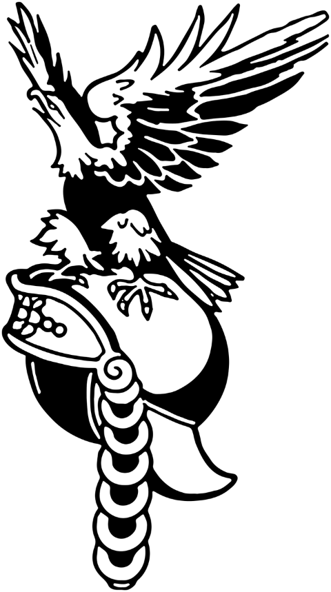 eagle-bird-helmet-mascot-animal-7402320