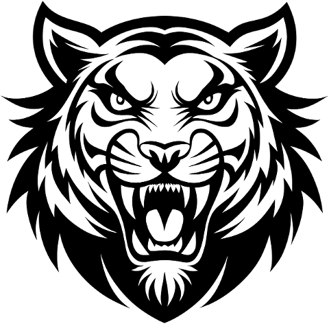 tiger-animal-feline-drawing-head-8764366