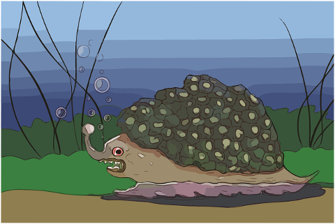 creature-underwater-snail-6878232