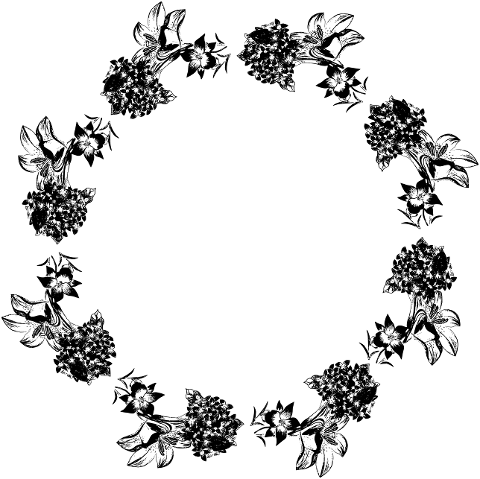 hydrangea-frame-flowers-nature-8487702
