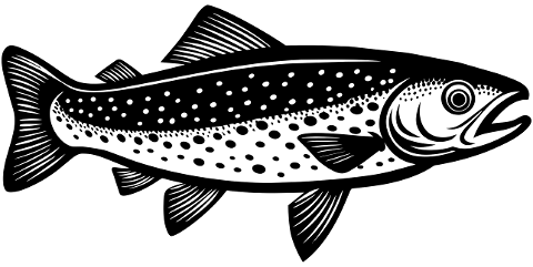 trout-fish-animal-aquatic-marine-8853404