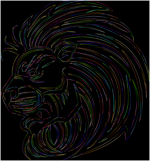 lion-feline-head-animal-line-art-8197273