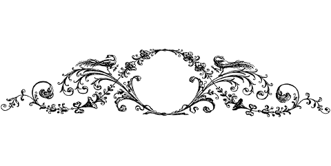 divider-ornamental-line-art-6548881