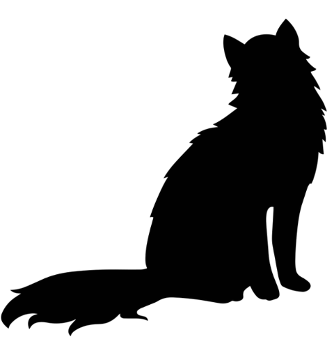 cat-feline-silhouette-animal-7098635