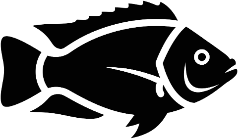 fish-aquatic-freshwater-animal-9958580