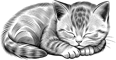 ai-generated-cat-animal-sleeping-8969610